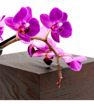 WOOD KUBB : mini PC en bois massif façonné par un ébéniste – design exclusif et objet technologique d’exception